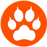 Orange Paw Print