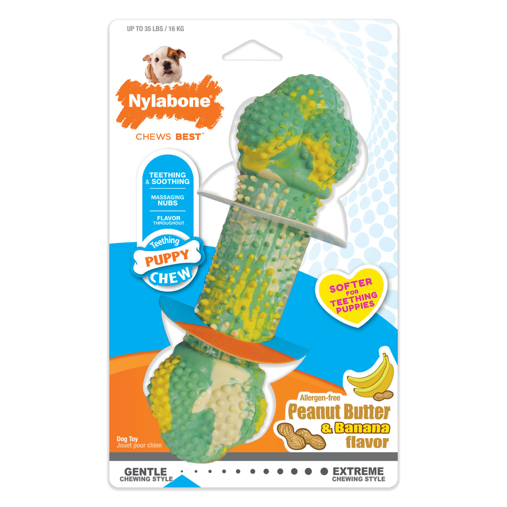 Front view of Nylabone Puppy Chew Rubber Double Action Chew in packaging