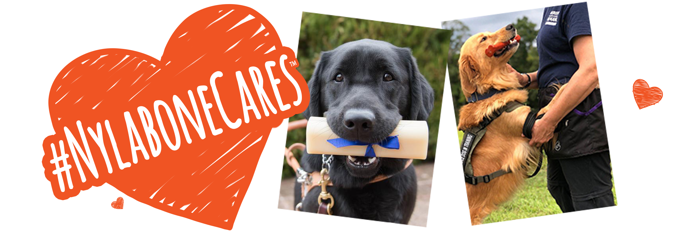 Nylabone Cares heart logo and guide dogs