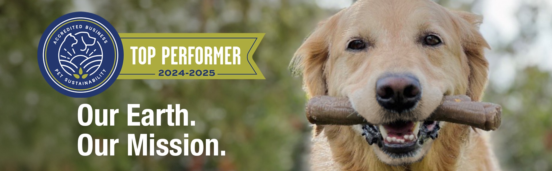 Nylabone sustainability mission, happy golden retriever holding stick chew toy in nature