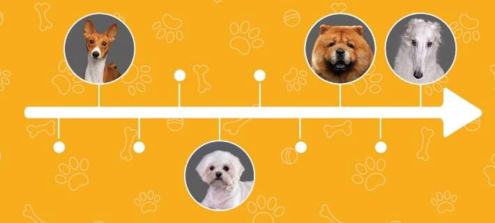 ancient dog breeds timeline header