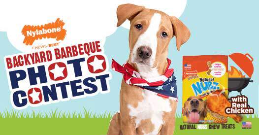 Backyard BBQ Photo Contest! | Nylabone