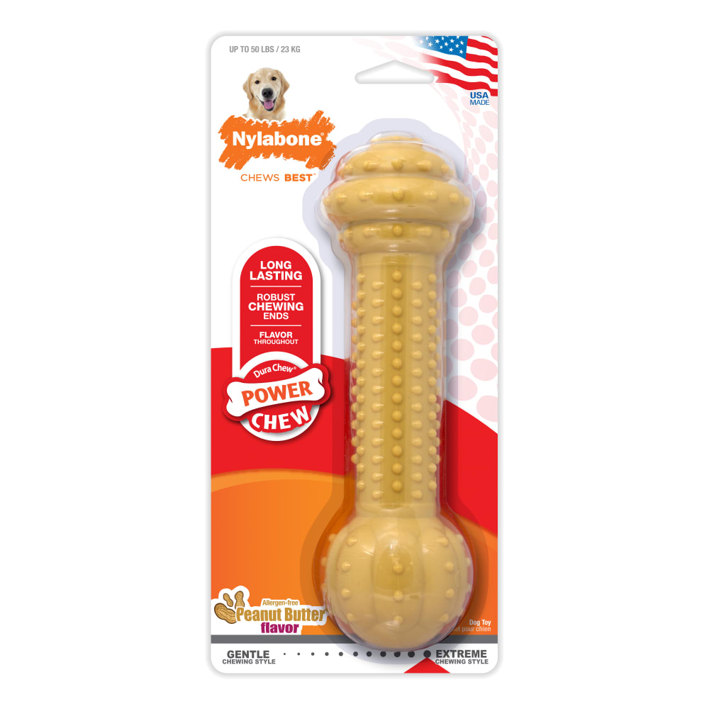 Barbell Power Chew Durable Dog Toy Nylabone