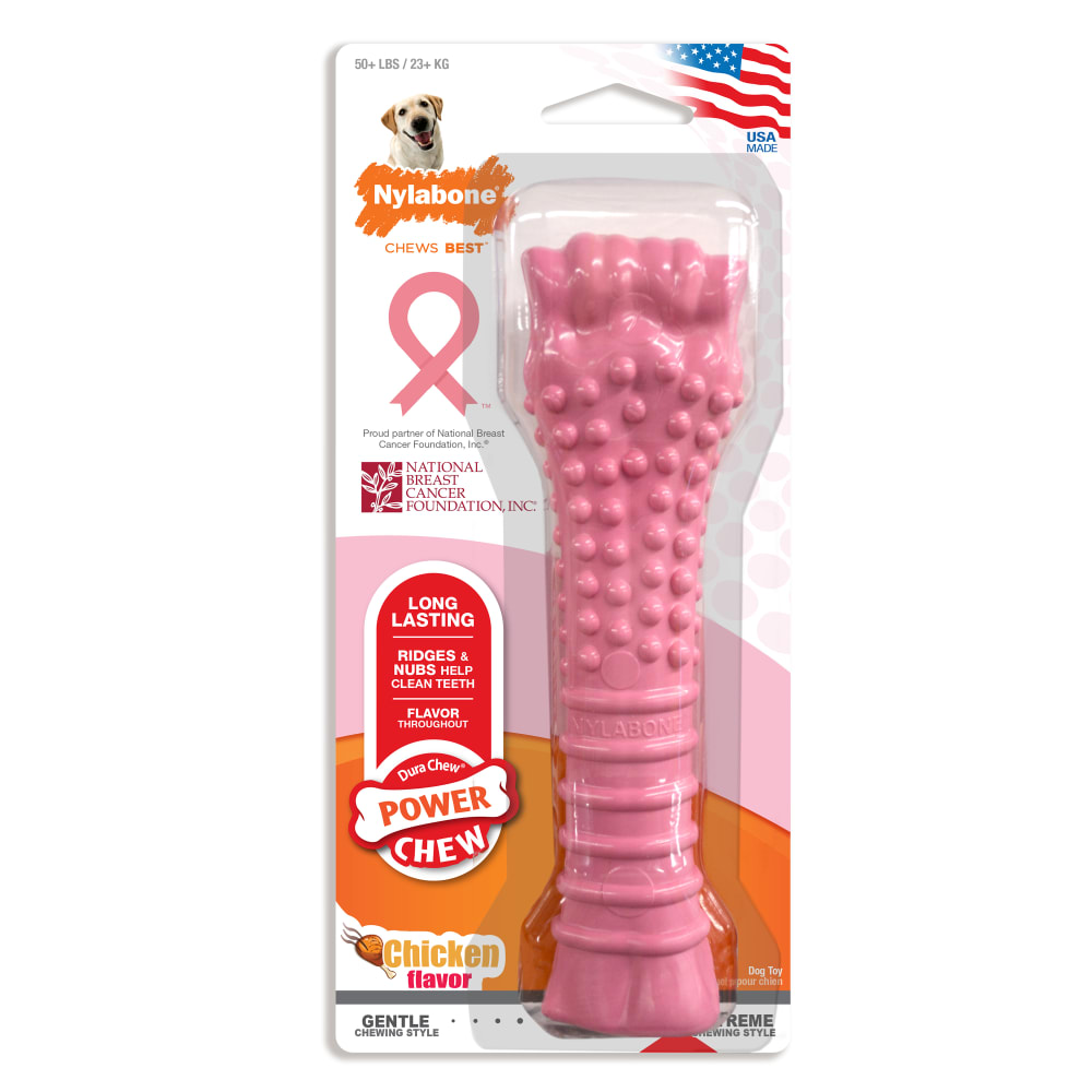 018214849704-nylabone-breast-cancer-awareness-pink-bone-inpackagefronthero