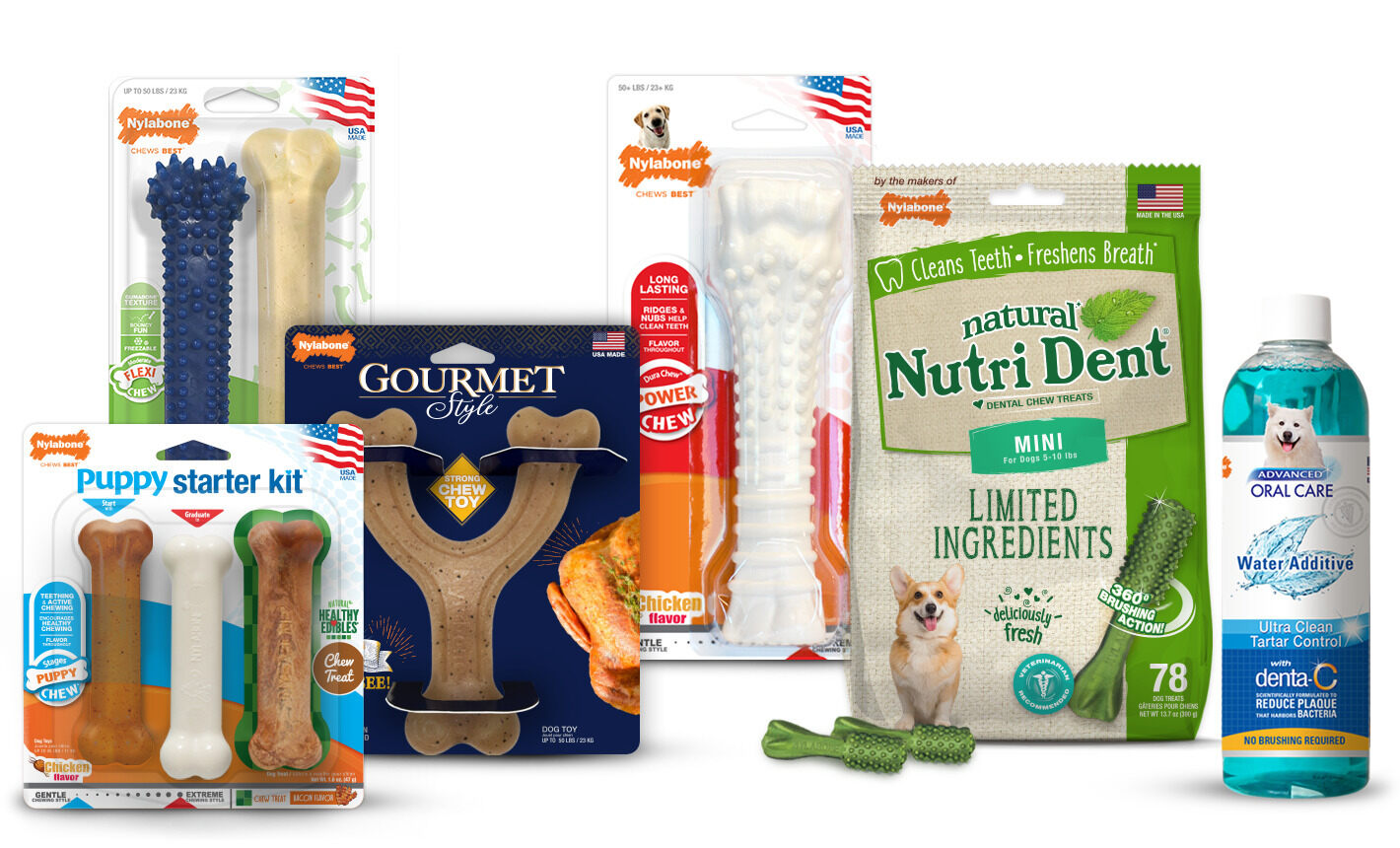 Nylabone vet-recommended product line family shot