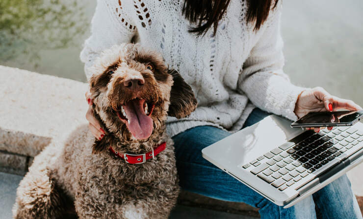 on-computer-with-dog