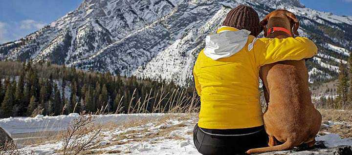A dog and their owner sitting on the ground, looking at a mountain.
