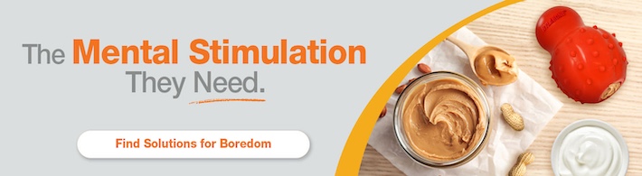 7-Boredom Banner 710x195
