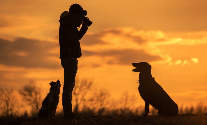 Man taking photo of dog at sunset