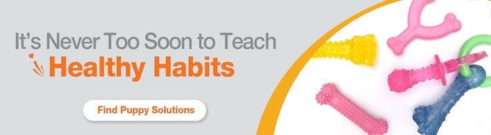 find puppy solutions