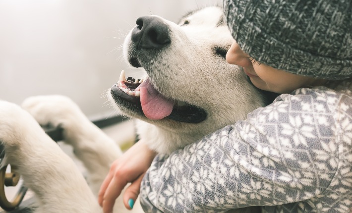 person hugging happy dog