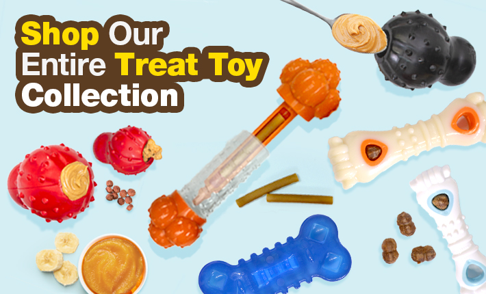 Extend Chew Time with the Sneaky Snacker Nylabone