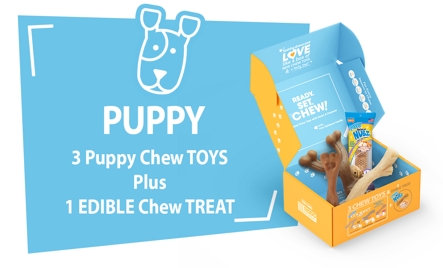 https://www.nylabone.com/-/media/project/oneweb/nylabone/images/dog101/inside-the-box/website-lp-giftbox-prdftr_710x430-puppy.jpg?h=auto&hash=7ECDBD0DC0C489809FA4916F79132754