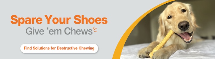 9-Destructive Chew Banner 710x195