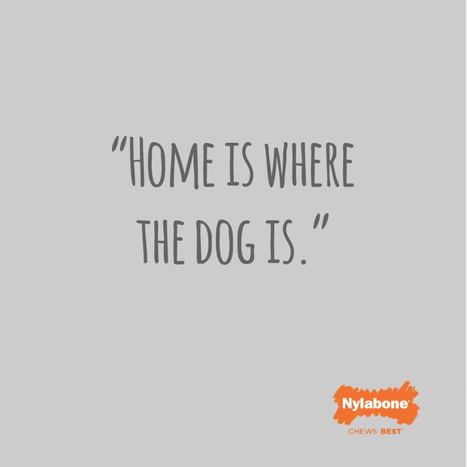 Home is where the dog is