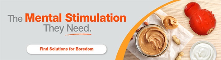 solutions for boredom banner