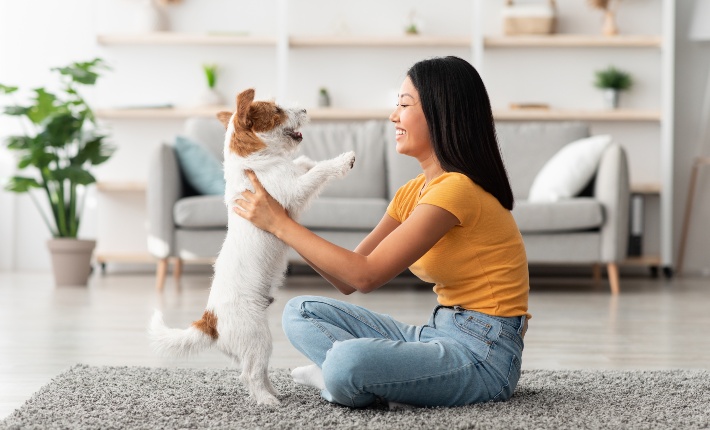 happy jack russell terrier and their owner