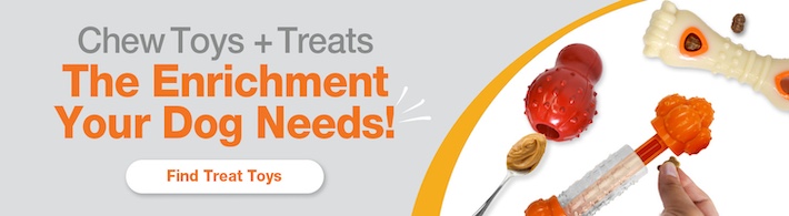 4-Treat Toys Banner