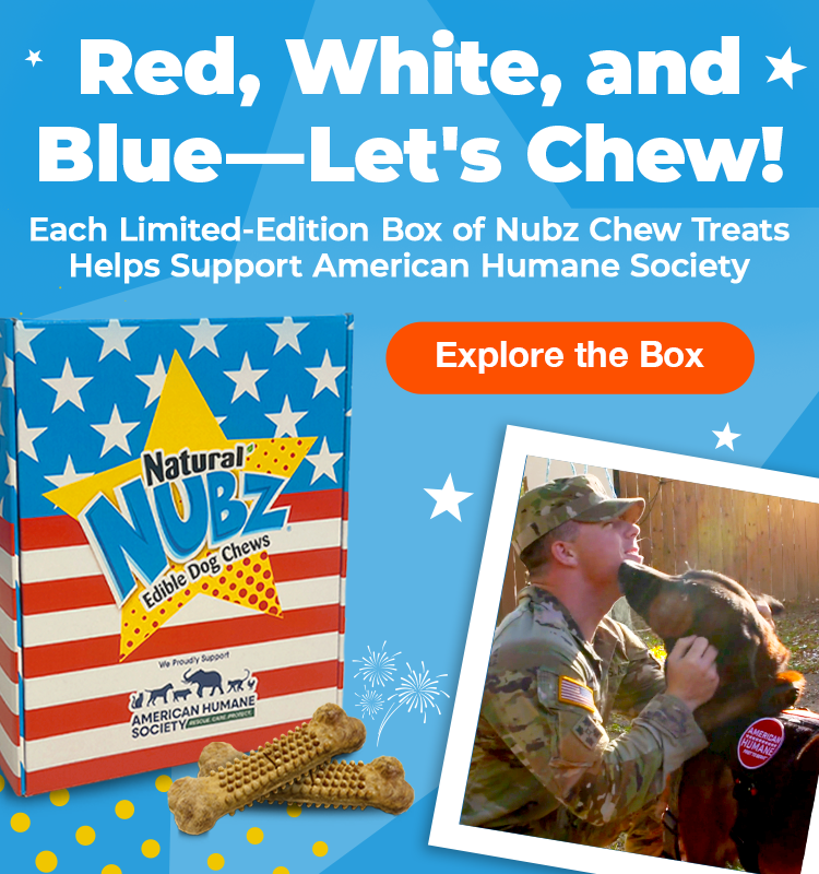 Nubz Dog Chew Treats Red, White & Blue Gift Box with chicken and peanut butter flavors, limited-edition USA-made dog treats with textured chews for dental health.