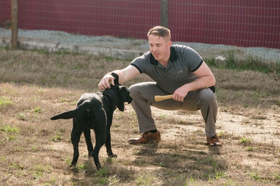 Air Force sergeant reunited with puppy he adopted overseas