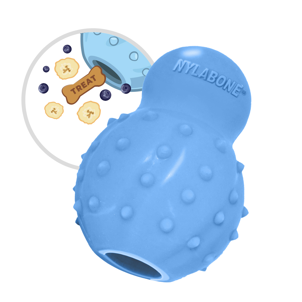blue rubber cone