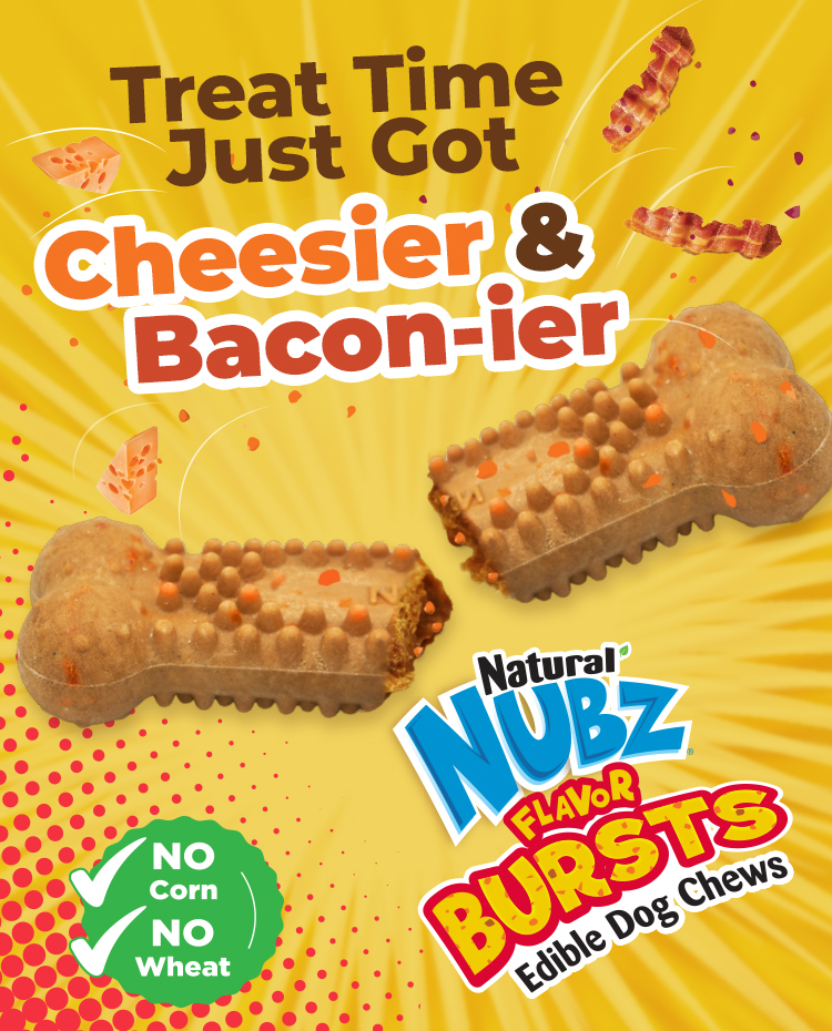 natural nubz flavor bursts announcement