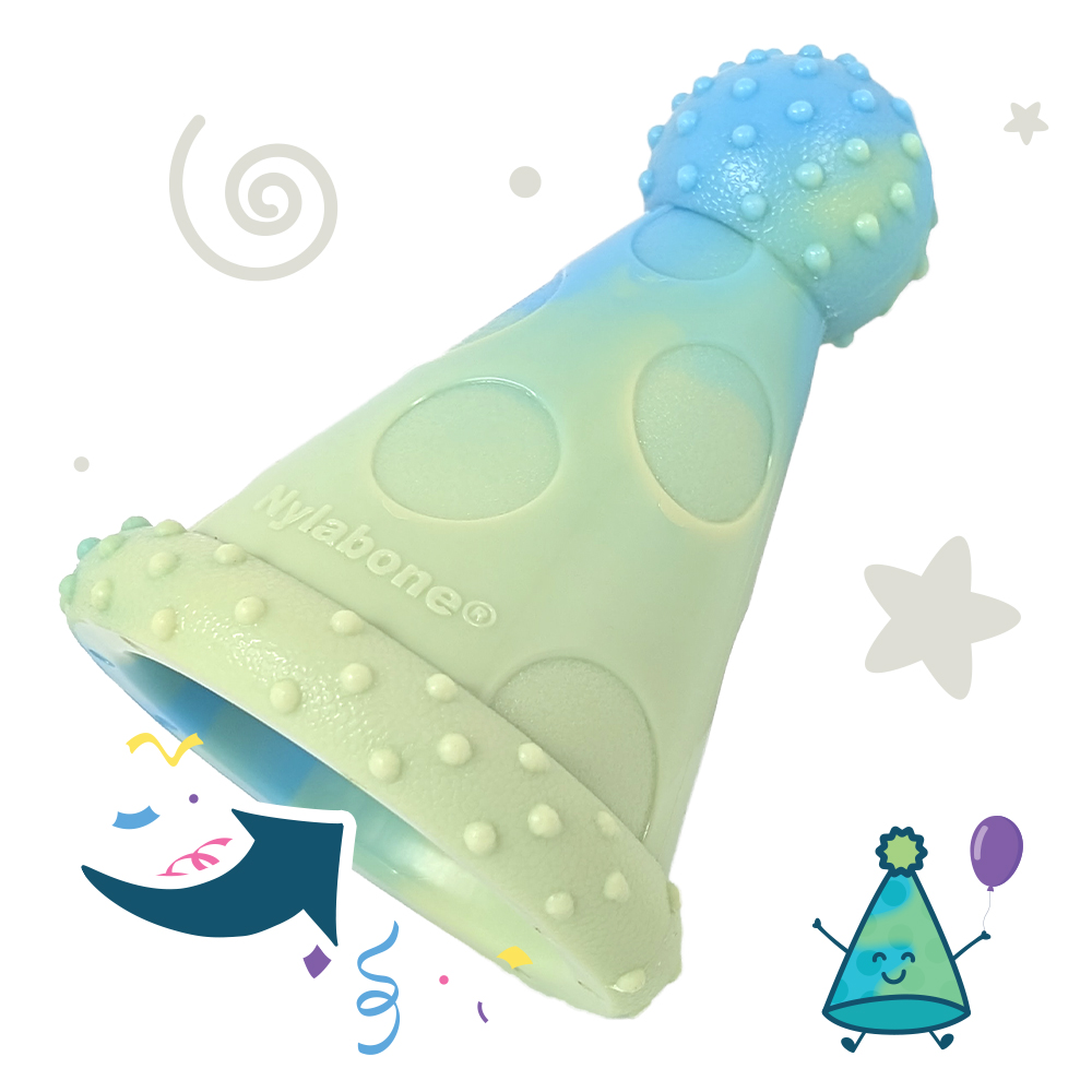 Large Party Hat Treat Toy For Medium Dogs Chew Toy in Peanut Butter Flavor in package​