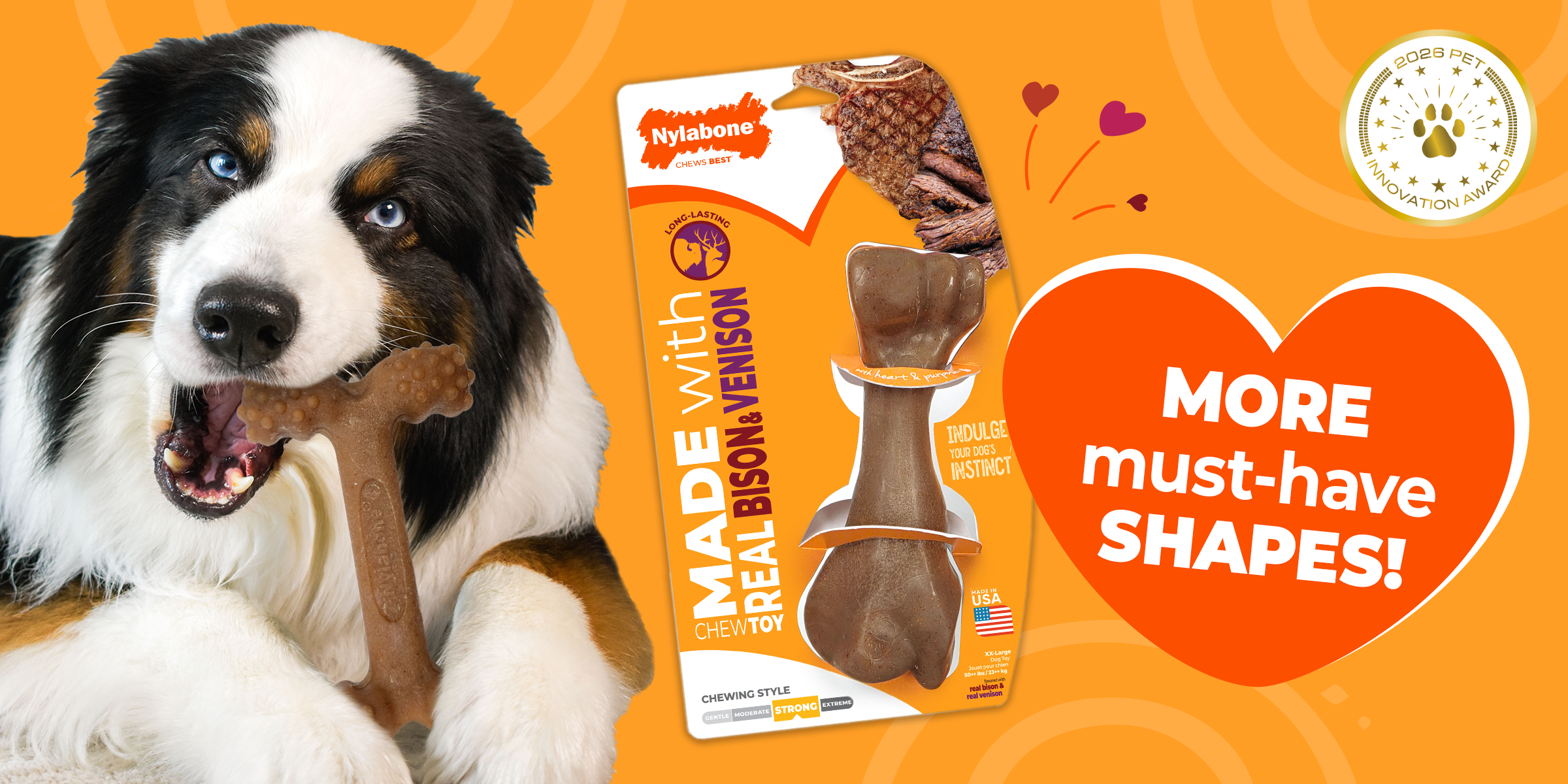 New chew toy shapes announcement for Nylabone chew toys made with real chicken, bacon, bison, venison New chew toy shapes announcement for Nylabone chew toys made with real chicken, bacon, bison, venison