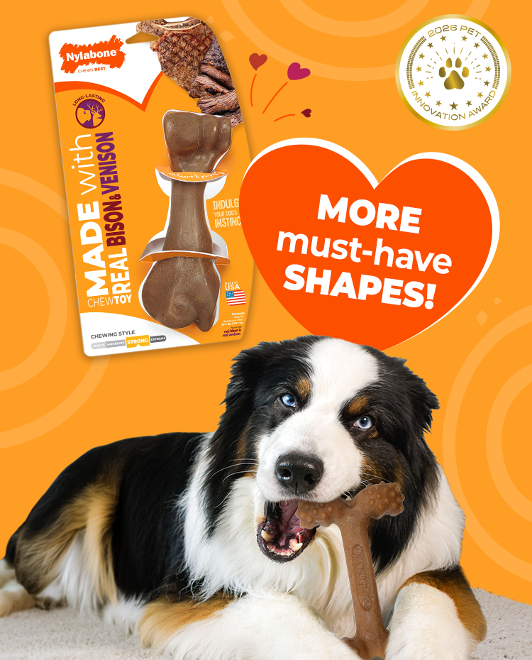 New chew toy shapes announcement for Nylabone chew toys made with real chicken, bacon, bison, venison New chew toy shapes announcement for Nylabone chew toys made with real chicken, bacon, bison, venison
