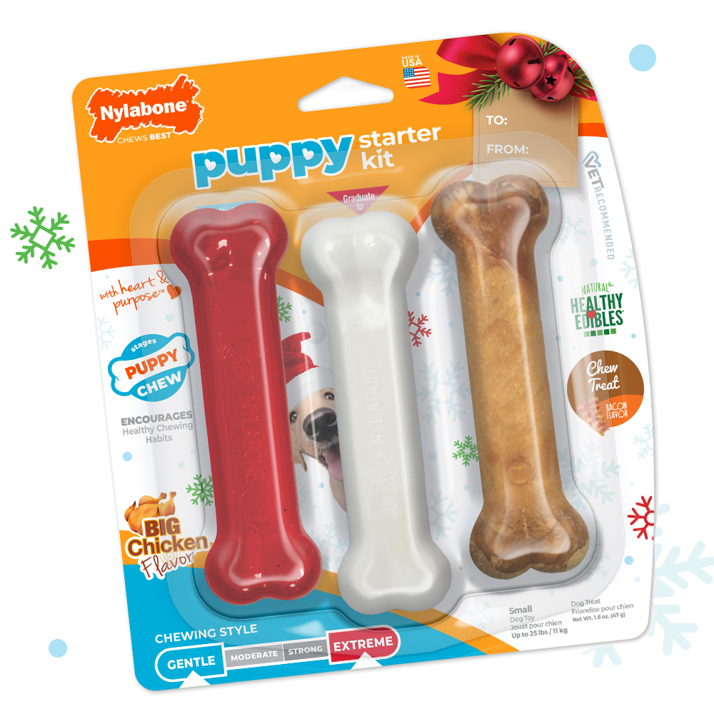 Small Holiday Puppy Starter Kit With Chew Toys & Treat in package