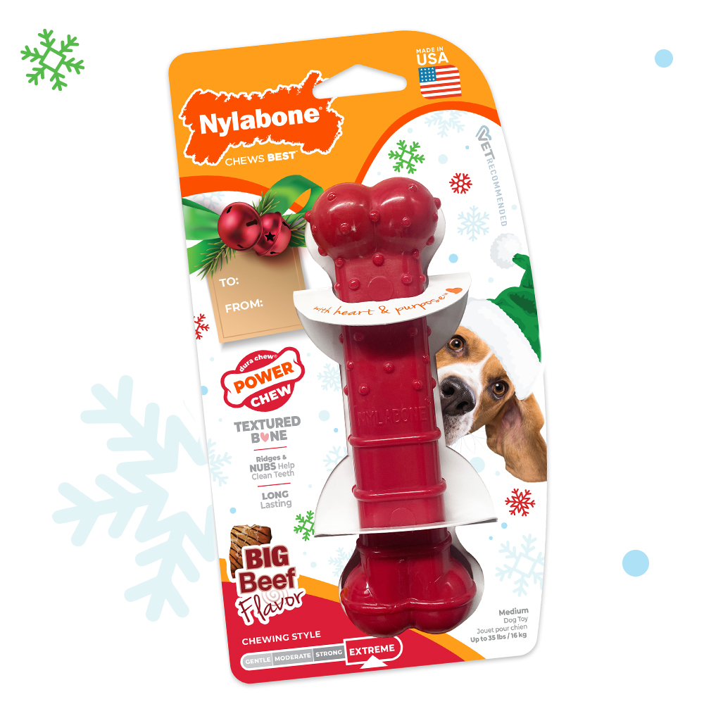Medium Holiday Power Chew Textured Bone Chew Toy in package