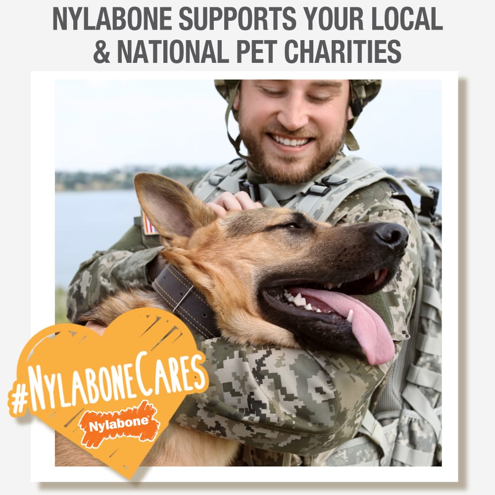 nylabone-cares-4