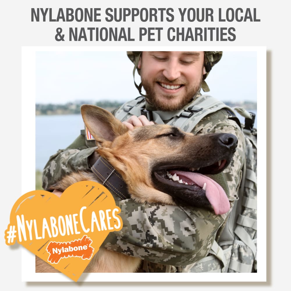 Dog ate a nylabone best sale