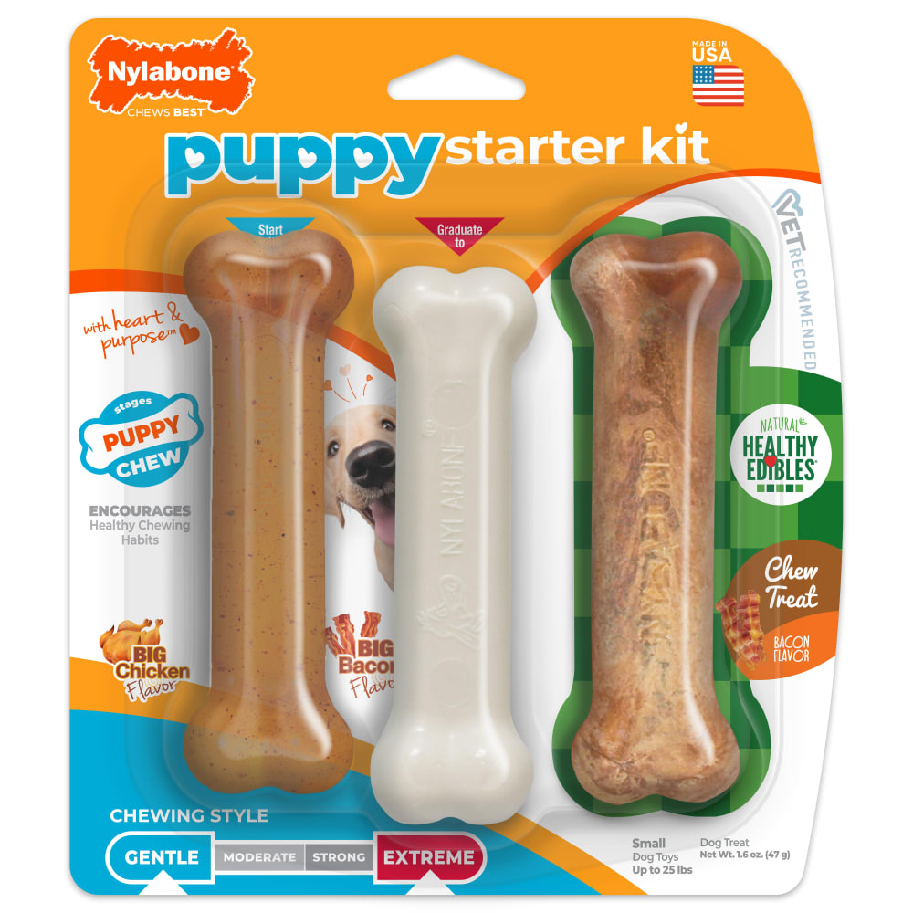Front view of Nylabone Puppy Starter Kit Regular 3ct in packaging
