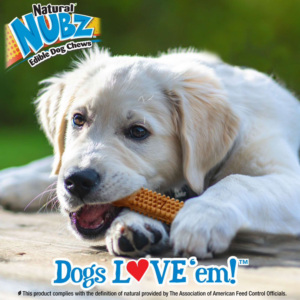 018214851363_Nylabone_Nubz Puppy Turkey Sweet Potato 8ct_Lifestyle