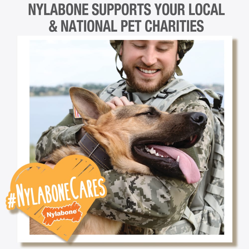 018214851400-nylabone-healthy-edibles-puppy-turkey-and-sweet-potato-16ct-petite-nylabonecares