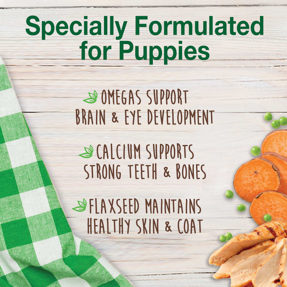 018214851400_Nylabone_Healthy Edibles Puppy Turkey and Sweet Potato 16ct Petite_OutOfPackage