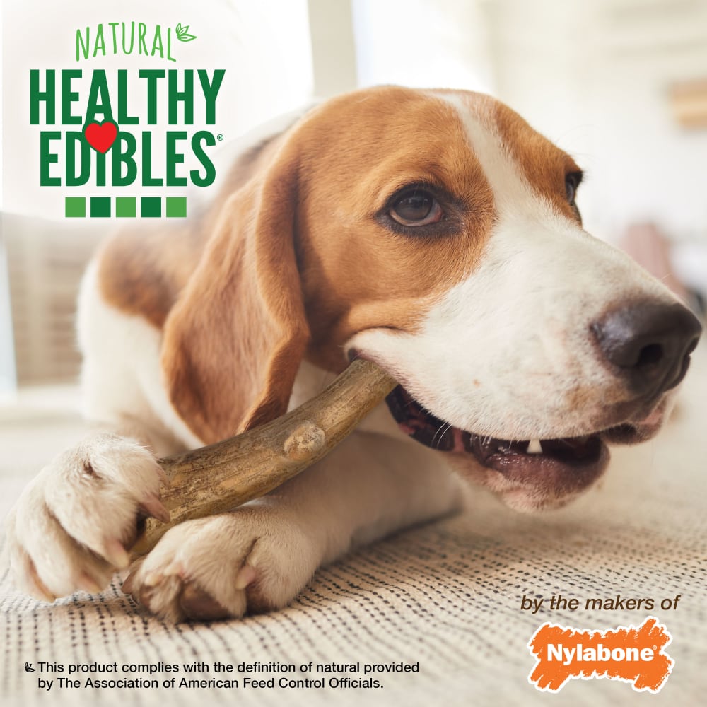 018214838494-nylabone-healthy-edibles-wild-venison-antler-10ct-medium-pouch-lifestyle