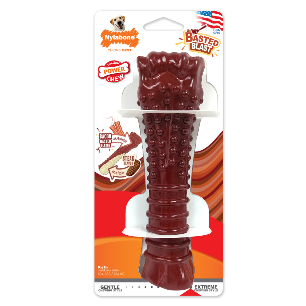 Power Chew Basted Blast Dual Flavored Dog Chew Toys | Nylabone