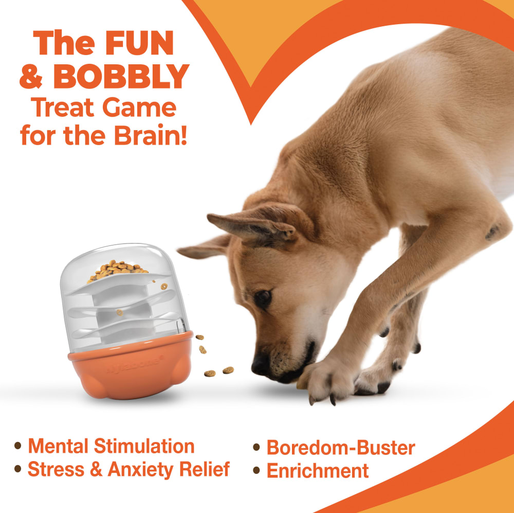 Nylabone Boop N Booble solutions