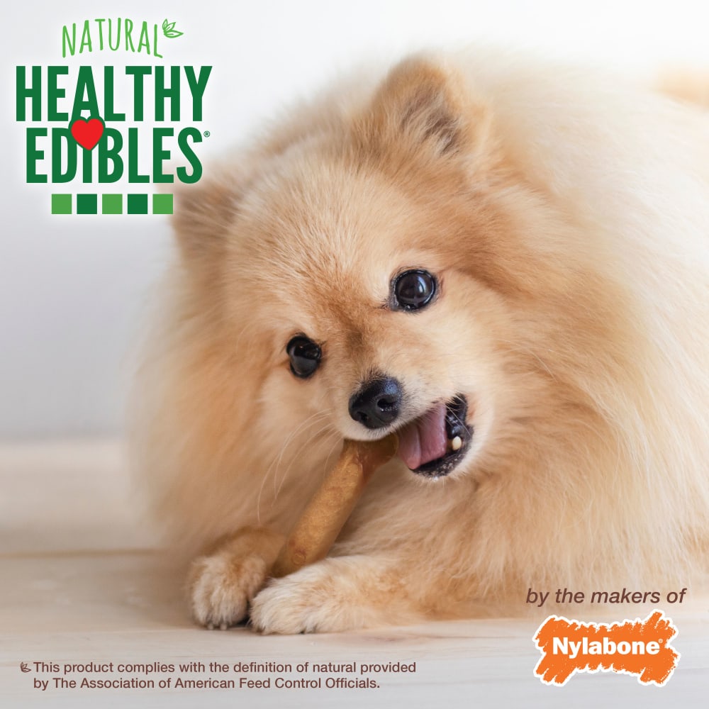 018214829478-nylabone-healthy-edibles-chicken-8ct-petite-lifestyle