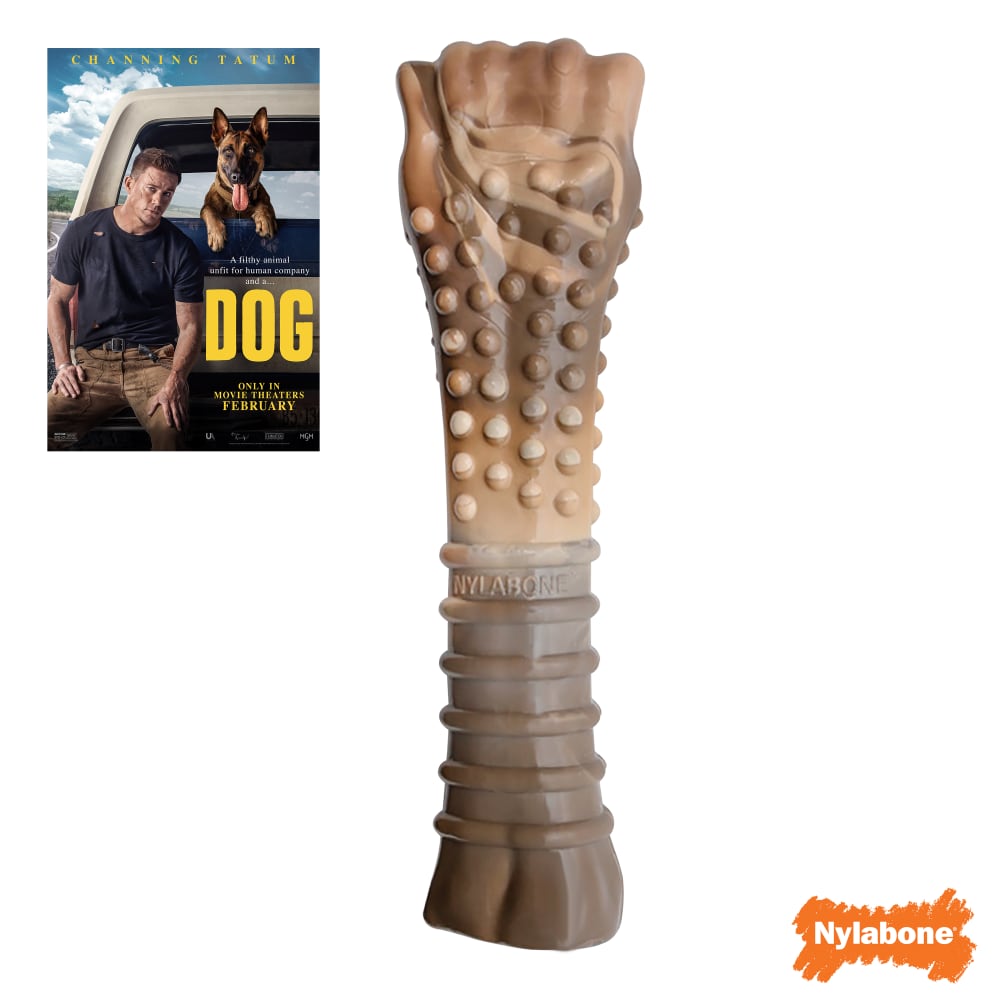 Power Chew Camo Dog Toy | Nylabone