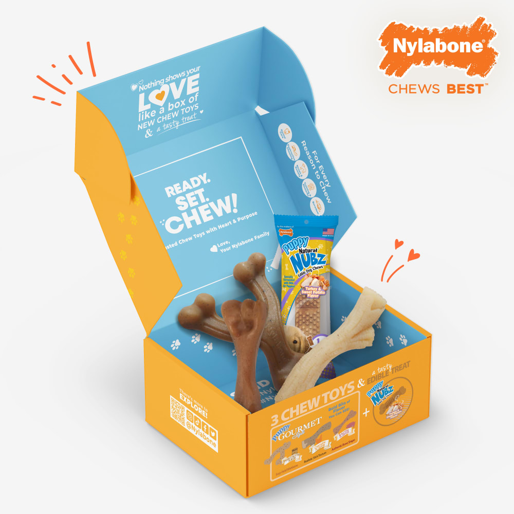 018214854913-nylabone-puppytbox-inpackagingopenbox-designed