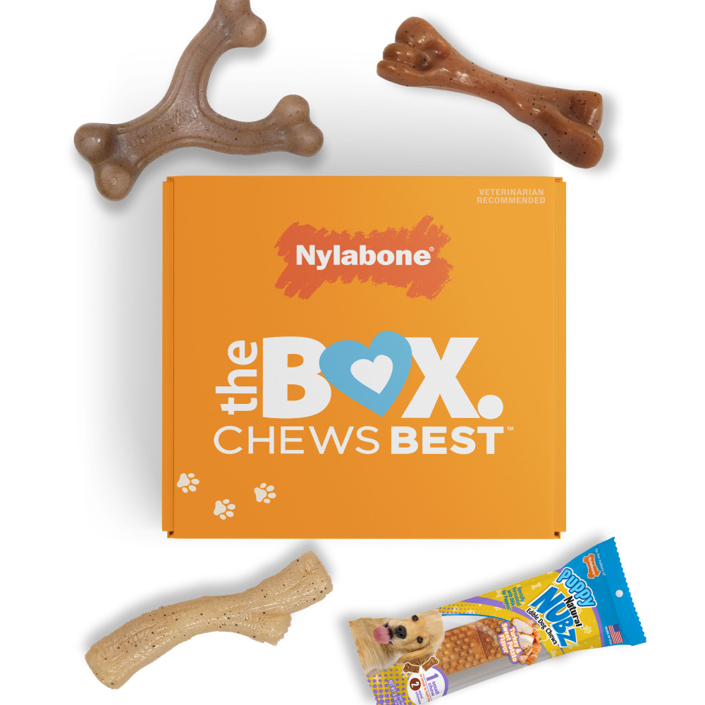 Nylabone bundle box with bundled chews.