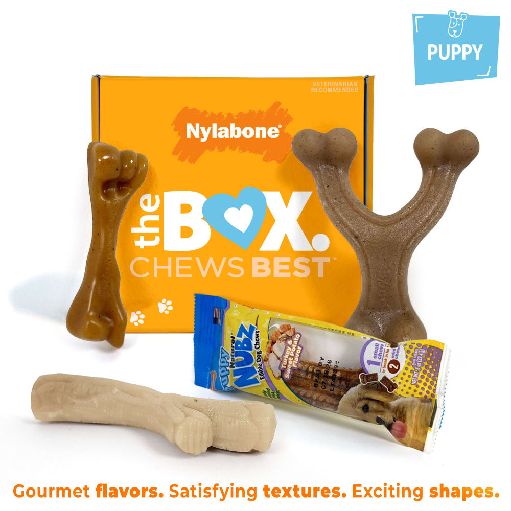 Dog treat chew toys best sale