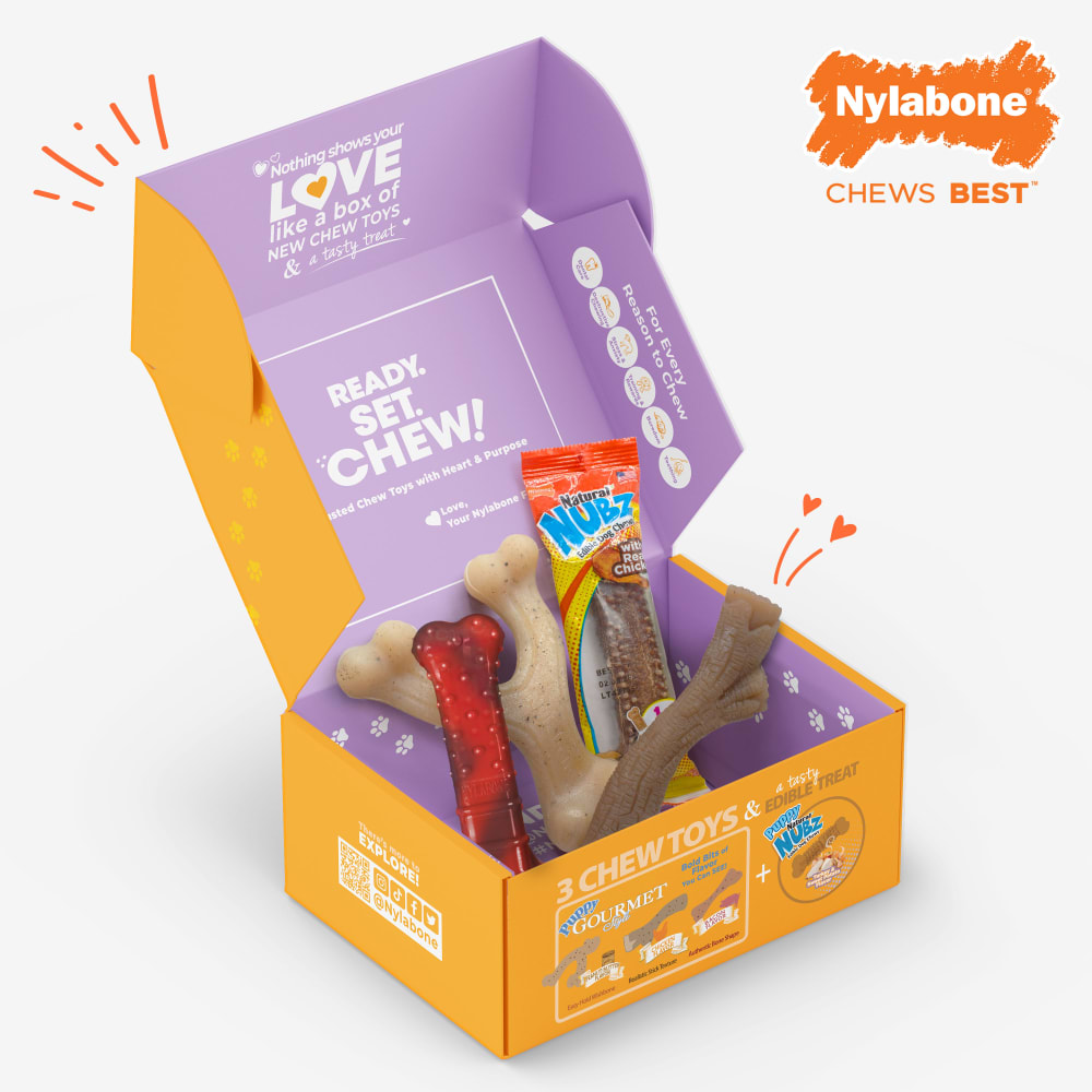 018214854920-nylabone-small-dogtbox-inpackagingopenbox-designed