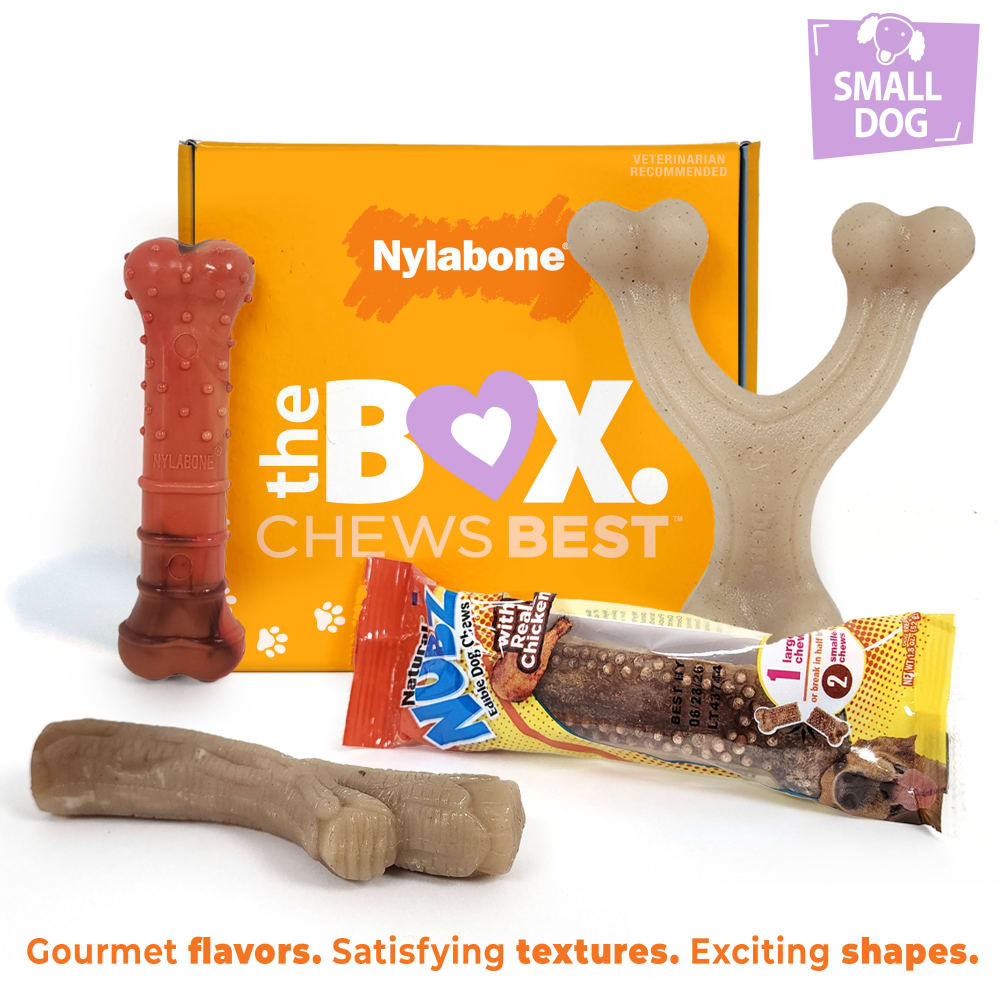 018214854920-nylabone-small-dogtbox-outofpackage-designed