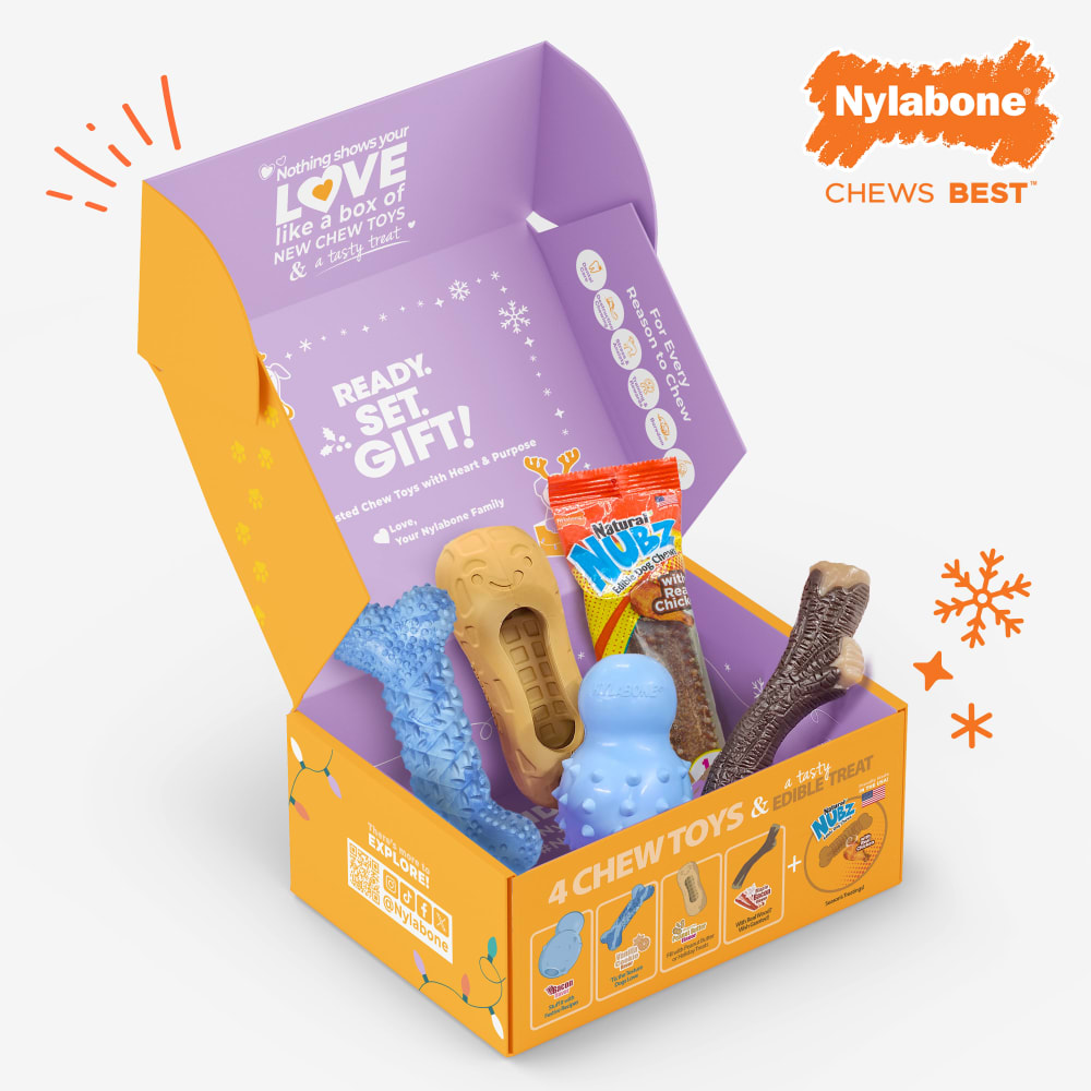 018214855927-nylabone-holidayt-box-small-dog-phase2-inpackagingopenbox