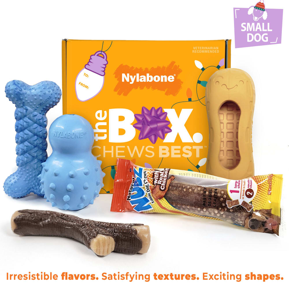 018214855927-nylabone-holidayt-box-small-dog-phase2-outofpackage