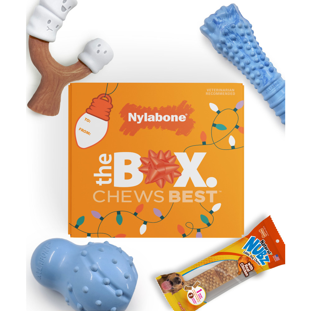 018214855934-nylabone-holidayt-box-large-dog-inpackagingtop-mobile